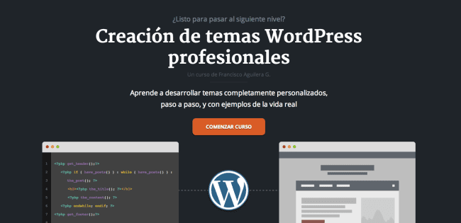 course-650x315-1 Screenshot of the Professional WordPress theme creation course shown on Francisco's website.
