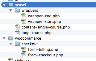 theme-folder Screenshot showing the website's folder structure.